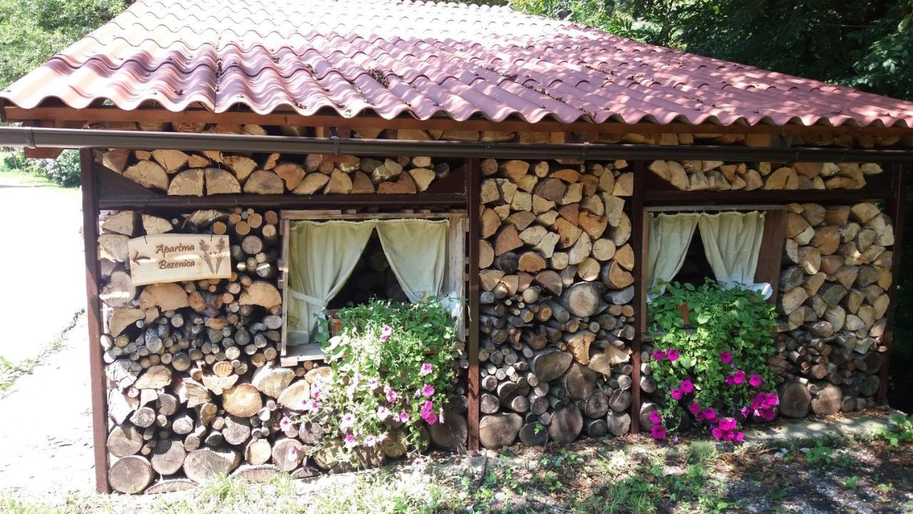 Appartment Bezenica Dobrova Exterior foto